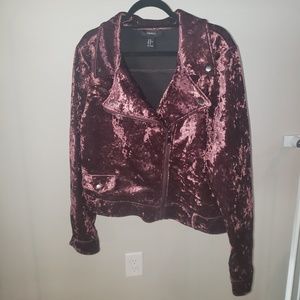 velvet moto jacket